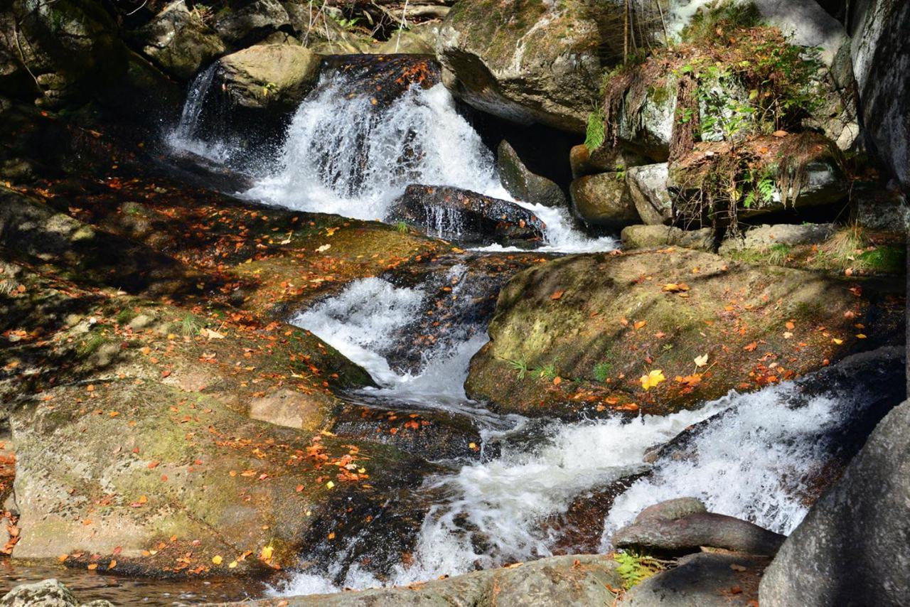 Montanie Resort Desna  Luaran gambar