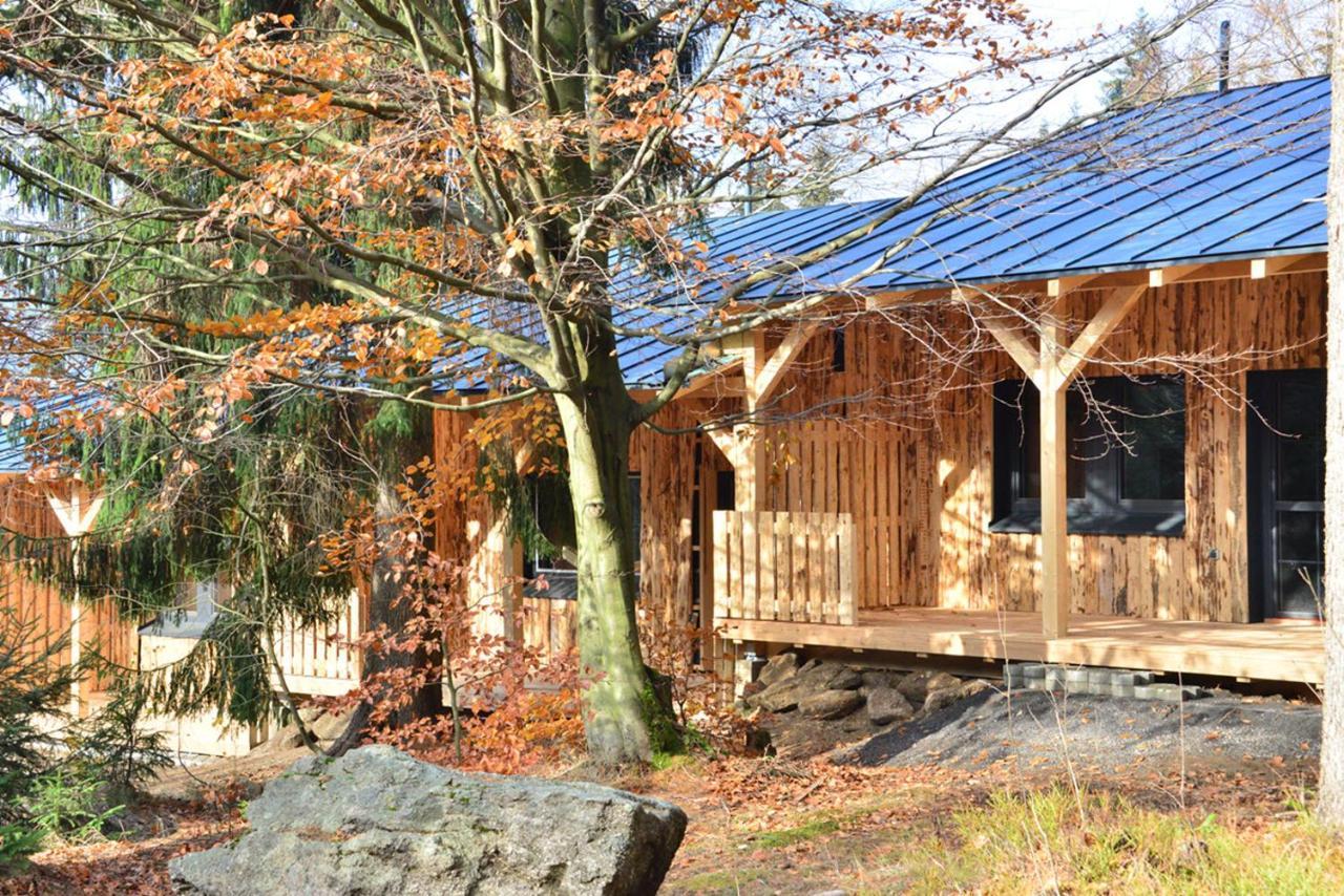 Montanie Resort Desna  Luaran gambar