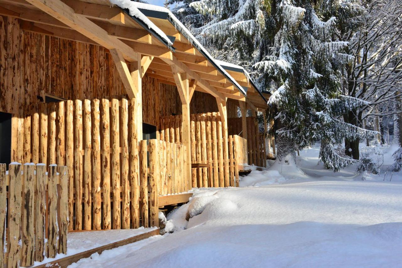 Montanie Resort Desna  Luaran gambar