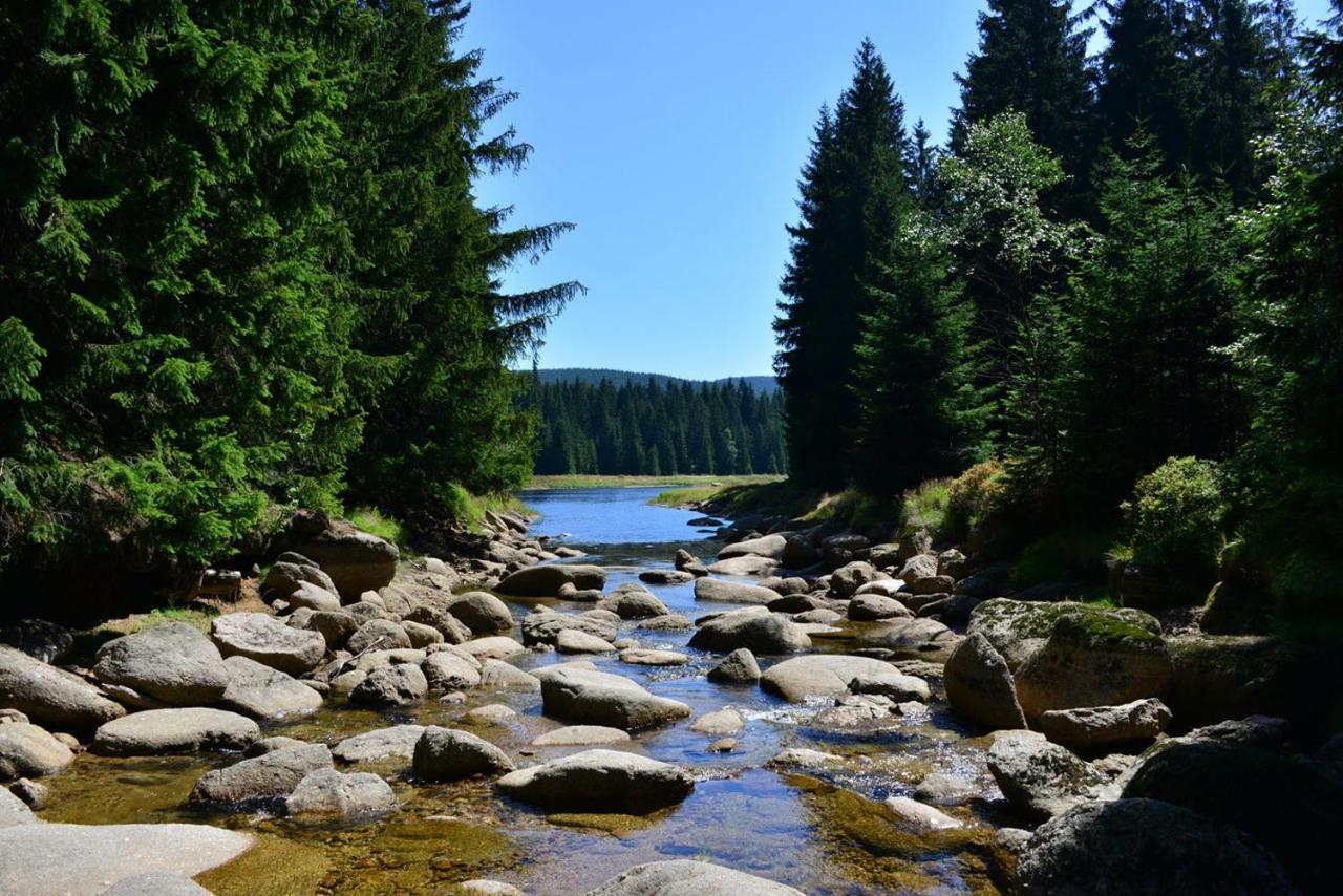 Montanie Resort Desna  Luaran gambar